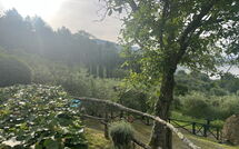 Fotos enviadas por los huéspedes de Villa Flora