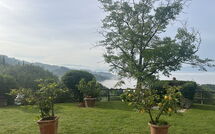 Fotos enviadas por los huéspedes de Villa Flora