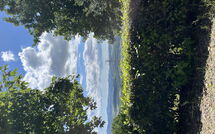 Fotos enviadas por los huéspedes de Casolare Ser Chelino