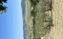 Fotos enviadas por los huéspedes de Casolare Ser Chelino