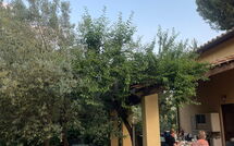 Fotos enviadas por los huéspedes de Poggio Cuccule