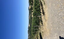 Fotos enviadas por los huéspedes de Villa le Buche