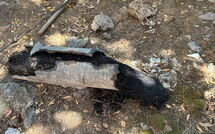 Fotos enviadas por los huéspedes de Von Salis