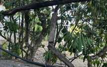 Fotos enviadas por los huéspedes de Von Salis