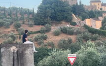 Fotos enviadas por los huéspedes de Pier