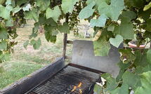 Fotos enviadas por los huéspedes de Podere Valcellino