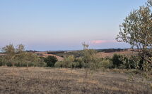 Fotos enviadas por los huéspedes de Fattoria le Chianacce
