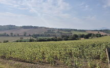 Fotos enviadas por los huéspedes de Fattoria le Chianacce