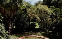 Fotos enviadas por los huéspedes de Castelletto Weddings and Events