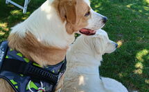 Fotos enviadas por los huéspedes de Villa Mira