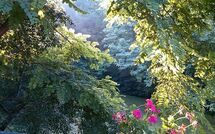 Fotos enviadas por los huéspedes de Podere Il Doccio