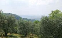 Fotos enviadas por los huéspedes de San Romolo