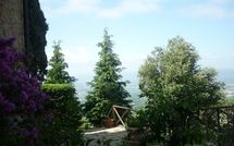 Fotos enviadas por los huéspedes de La Capraia