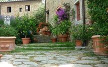 Fotos enviadas por los huéspedes de La Capraia