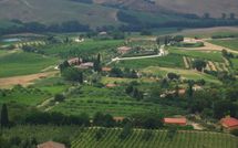 Fotos enviadas por los huéspedes de Podere la Marronaia