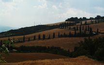 Fotos enviadas por los huéspedes de Podere la Marronaia