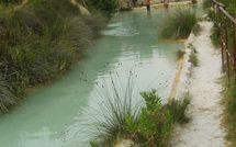 Fotos enviadas por los huéspedes de Podere la Marronaia