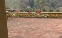 Fotos enviadas por los huéspedes de Podere la Marronaia