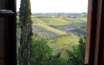 Fotos enviadas por los huéspedes de Certaldo