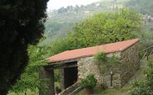 Fotos enviadas por los huéspedes de Podere Centone