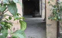 Fotos enviadas por los huéspedes de Podere Centone