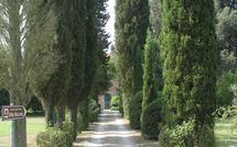 Fotos enviadas por los huéspedes de Villa Fontine