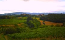 Fotos enviadas por los huéspedes de Casa Mori