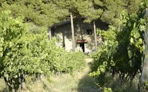 Fotos enviadas por los huéspedes de Montescalari