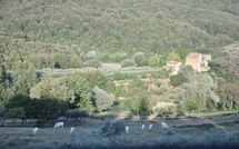 Fotos enviadas por los huéspedes de Montescalari