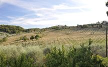 Fotos enviadas por los huéspedes de Montescalari