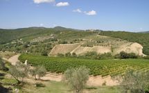 Fotos enviadas por los huéspedes de Contessa di Gaiole