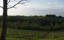 Fotos enviadas por los huéspedes de Borgo Tollena