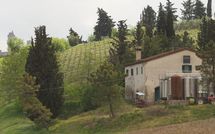 Fotos enviadas por los huéspedes de Borgo Tollena