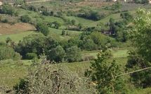 Fotos enviadas por los huéspedes de Agriturismo Paterno