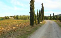 Fotos enviadas por los huéspedes de Borgo Tollena