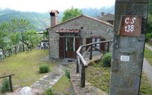 Fotos enviadas por los huéspedes de Paradiso