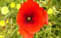 Fotos enviadas por los huéspedes de Paradiso