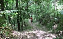 Fotos enviadas por los huéspedes de Il Palazzetto