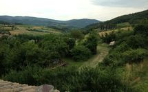 Fotos enviadas por los huéspedes de Casa Monica