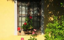 Fotos enviadas por los huéspedes de Limoni