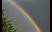 Fotos enviadas por los huéspedes de Limoni