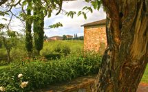 Fotos enviadas por los huéspedes de Agriturismo la Papessa