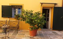 Fotos enviadas por los huéspedes de Flavia