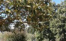 Fotos enviadas por los huéspedes de Casa Felice