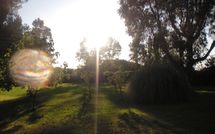 Fotos enviadas por los huéspedes de Maria Vittoria