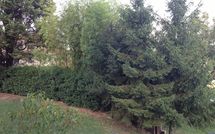 Fotos enviadas por los huéspedes de Civetta