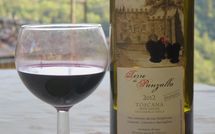 Fotos enviadas por los huéspedes de Villa Fabbroni - Fattoria San Polo