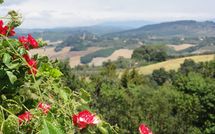 Fotos enviadas por los huéspedes de La Chiesina di Vittorio