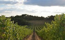 Fotos enviadas por los huéspedes de Podere Il Doccio