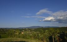 Fotos enviadas por los huéspedes de Collina